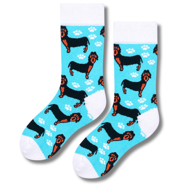 Dachshund Dog