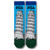 Pisa Landmark