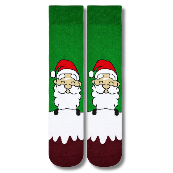Santa on Snow Christmas