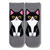 Cat Black Ankle