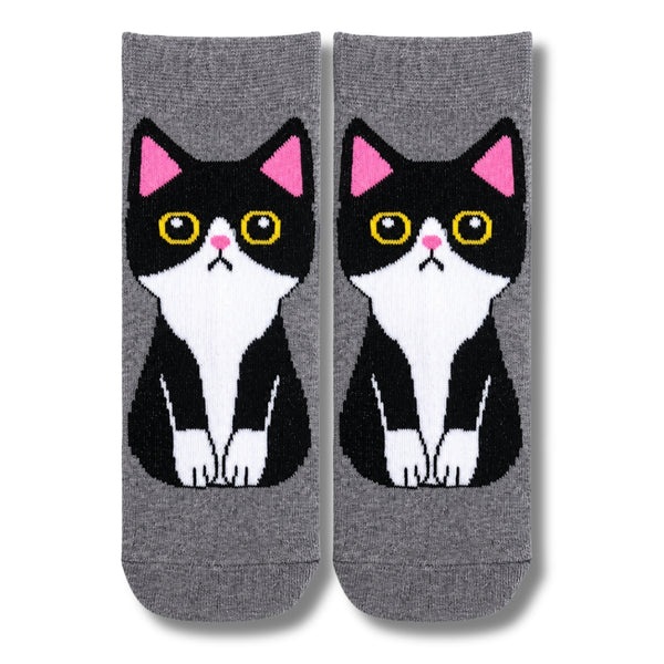 Cat Black Ankle